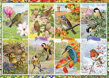 Seasonal garden birds collage, collage, bird, painting, art, seasonal, garden, pasari HD wallpaper