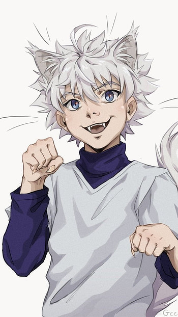 Killua, Killua Cartoon, Zoldyck HD phone wallpaper