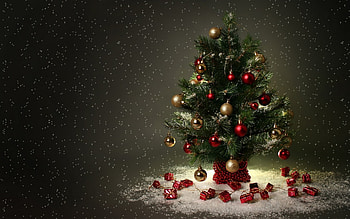 Holidays, New Year, Fir-Trees, Christmas, Xmas HD wallpaper