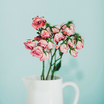 Flowers, Roses, Pink, Bouquet HD phone wallpaper