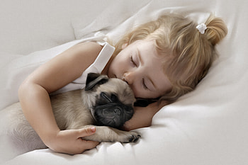 Adorable Little Girl Sleeping with Pug Puppy, little-girl, child, cute, pug, sleeping, love, dog, artist HD wallpaper