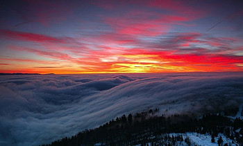 Sunrise Cloud Cover, snow, clouds, trees, sky, forest, sunrise HD wallpaper