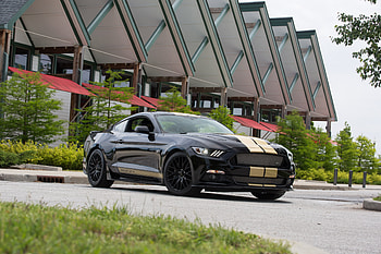 2016 Ford Shelby GT H, ford, cars, 2016-cars HD wallpaper