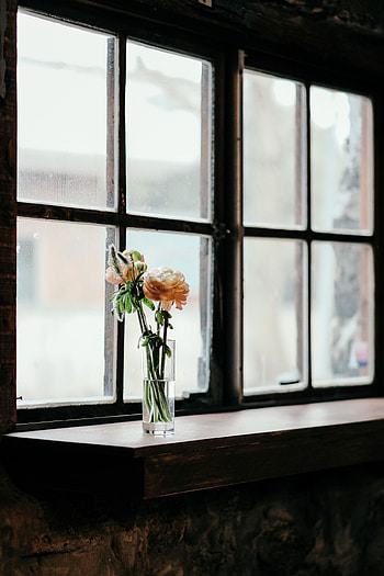 Flowers, Bouquet, Window, Vase HD phone wallpaper
