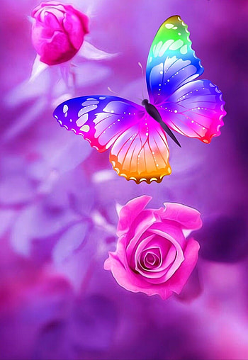 Flower Butterfly Background, Beautiful Butterfly HD phone wallpaper