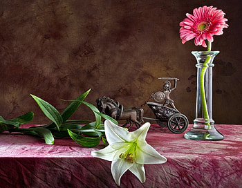 Still Life, graphy, vase, nature, flowers, gerbera, lily HD wallpaper