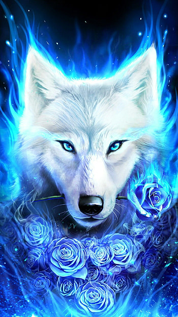 Wolf Cool Red And Blue : Here is the most beautiful cool background collection for you .enjoy and share your favorite cool and background HD phone wallpaper