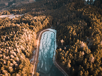 Aerial graphy Trees , trees, graphy, nature HD wallpaper