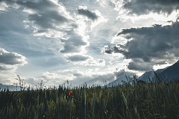 A breathtaking view of mountains with a dramatic cloudy sky over a lush field, captured in Tirol, Austria. HD wallpaper