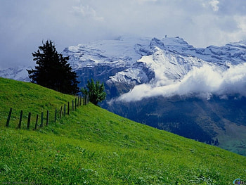 Digital Beauties, hayfield, nature HD wallpaper