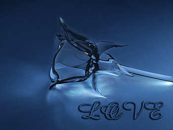 blue_love, blue, rose, love HD wallpaper