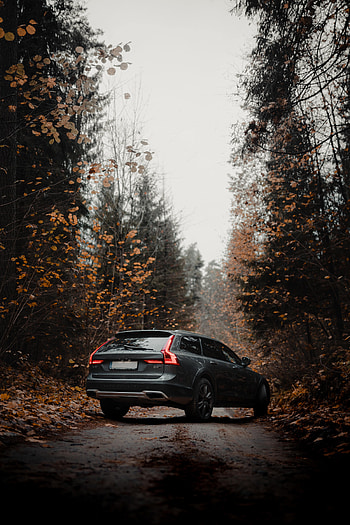 Autumn, Volvo, Cars, Forest, Car, Grey, Volvo V90 HD phone wallpaper