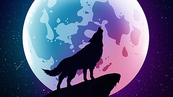 Wolf Howling Moon Night Minimal , wolf, minimalism, minimalist, artist, artwork, digital-art HD wallpaper
