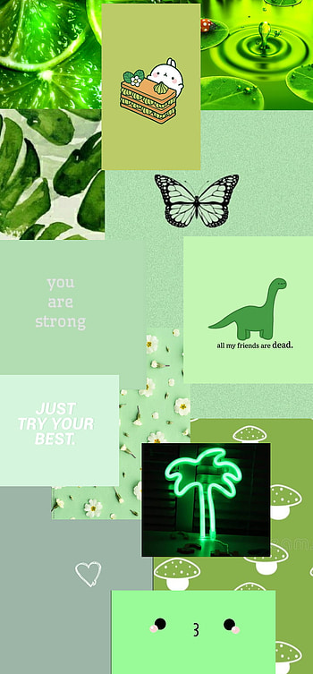 Green, aesthetic HD phone wallpaper