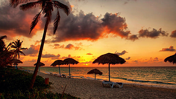 Evening at the beach, clouds, sea, sunset, tropical, palmtrees HD wallpaper