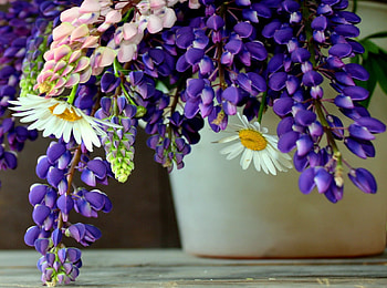 Bouquet of field flowers, vaze, beautiful, lvoly, daisies, still life, delicate, pretty, field, f, nature, owers, lovely, harmony HD wallpaper