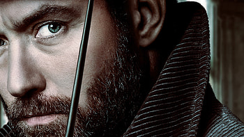 Jude Law, Albus Dumbledore, Fantastic Beasts, Grindelwald HD wallpaper
