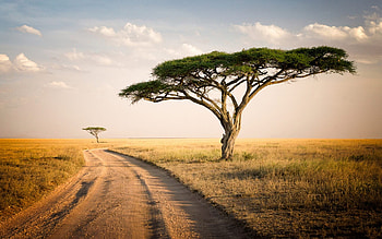 Tanzania, Beautiful , Mesmerizing sceneries, Visual treat HD wallpaper