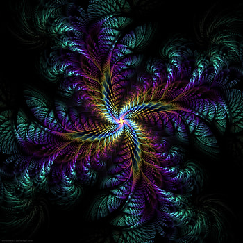 Abstract, Patterns, Dark, Fractal, Swirling, Involute HD phone wallpaper