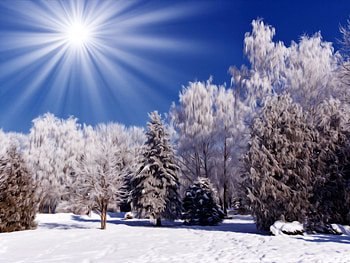 Winter Nature Scenes (69 ) HD wallpaper