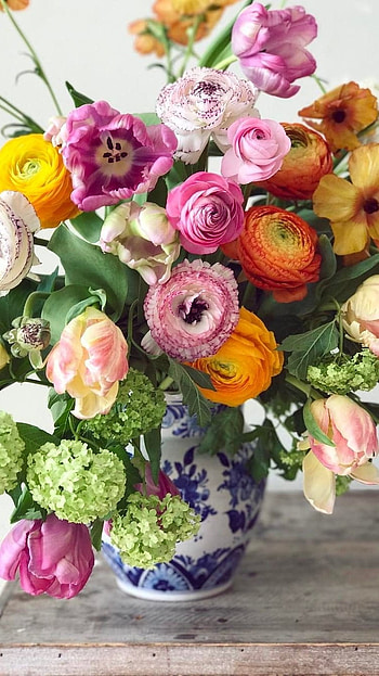 Ranunculus, Colorful HD phone wallpaper