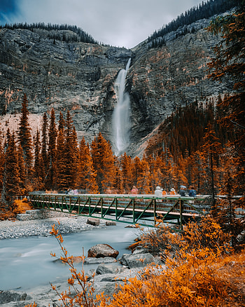 Nature, Rivers, Trees, Rock, Waterfall, Bridge HD phone wallpaper