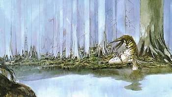 Amano Yoshitaka - 1868728 HD wallpaper