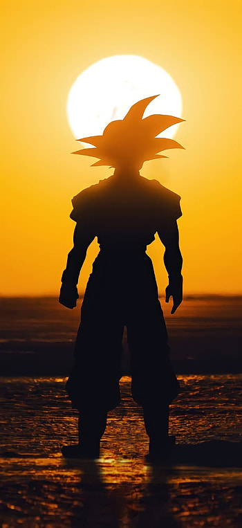 Goku (Dragon Ball), Sky, Sunset, Anime, Dragonball, Naruto, Vegeta, Dbz, Dragon_ball_super, Manga HD phone wallpaper