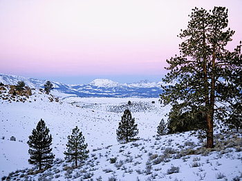 Winter landscape, winter, season, nature, tree HD wallpaper
