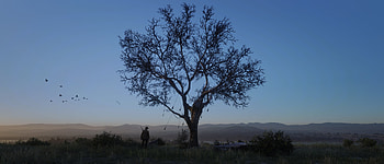 Red Dead Redemption 2 2024 , red-dead-redemption-2, games, 2024-games, ps4-games, xbox-one-games, google-stadia, pc-games, video-games HD wallpaper