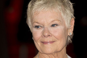 Judi Dench, Movies, , 7Net HD wallpaper