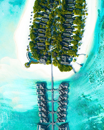 Nature, Palms, View From Above, Ocean, Tropics, Bungalow HD phone wallpaper