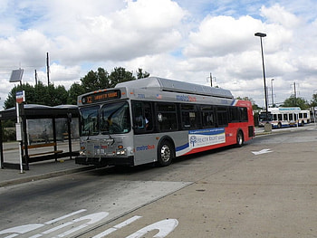 New Flyer C40LF, New Flyer, Buses, Cartoons, Disney HD wallpaper