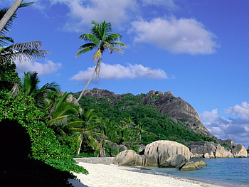 Beach, nature, beaches HD wallpaper