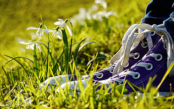 Flowers, Grass, Miscellanea, Miscellaneous, Legs, Sneakers, Shoes HD wallpaper