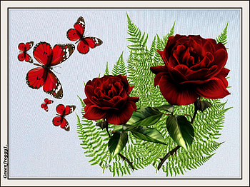 BUTTERFLIES AND ROSES, ART, ROSES, ABSTRACT, BUTTERFLIES HD wallpaper