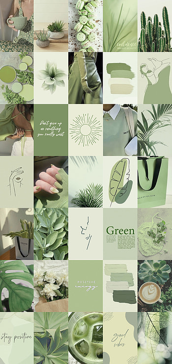 100pcs Sage Green Wall Collage Kit 2 Boho Aesthetic Soft. Etsy UK. Mint green aesthetic, Green aesthetic, Green , Sage Green Collage HD phone wallpaper