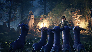 Hogwarts Legacy, PS5 , Captivating wizardry, Enchanting atmosphere HD wallpaper