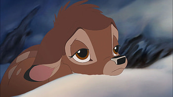 Bambi, 360 131 HD wallpaper