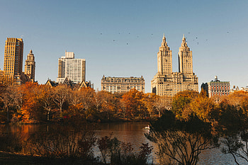 Central Park in Fall - New York City Skyline, city, New York, Central Park, fall HD wallpaper
