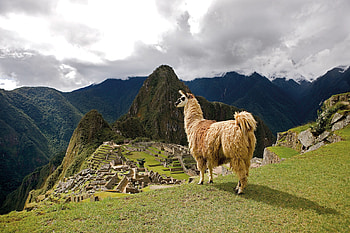 Peru guided tour, Machu Picchu exploration, In-depth knowledge, Memorable journey HD wallpaper