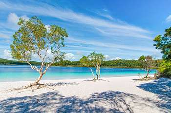 Visiter Fraser Island, Infos pratiques, Itinraire Supertramp, Travels HD wallpaper
