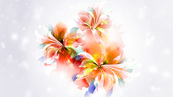 Lovely Lilies, bokeh, Firefox theme, abstract, lights, garden, flowers, lilies, lily HD wallpaper