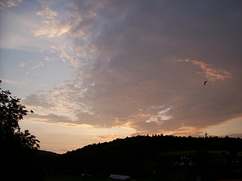 birds sunset, birds, sunset HD wallpaper