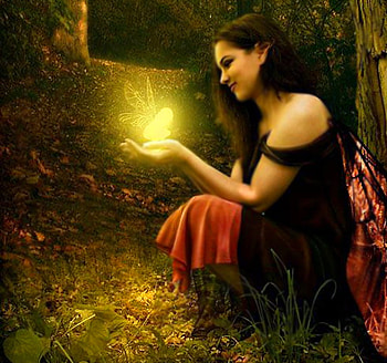 Fairy, fantasy, forest, light HD wallpaper
