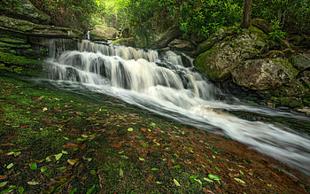 Blackwater Falls, , waterfall, evening, stones, forest, beautiful waterfall, Blackwater Falls State Park, Virginia, USA HD wallpaper
