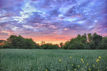 nature, sunset HD wallpaper