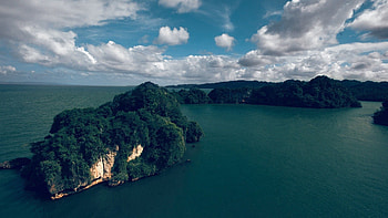 Nature, Rivers, Trees, Sea, Lake, Handsomely, It's Beautiful HD wallpaper