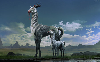 fantasy, creature HD wallpaper
