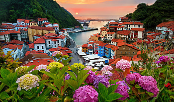 View of Cudilliero, colorful, canal, hydrangea, town, roofs, beautiful, houses, tourism, sunrise, summer, view, flowers, Spain, sunset HD wallpaper